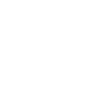 PDF表示